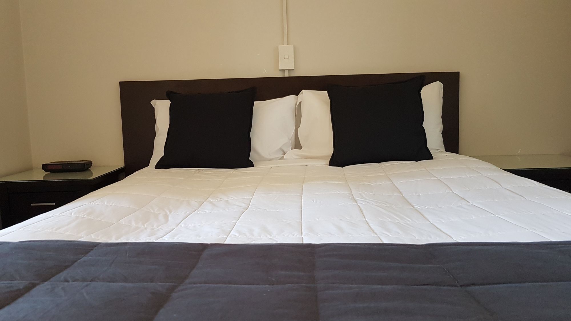88 Wallace Court Motel เวลลิงตัน ภายนอก รูปภาพ